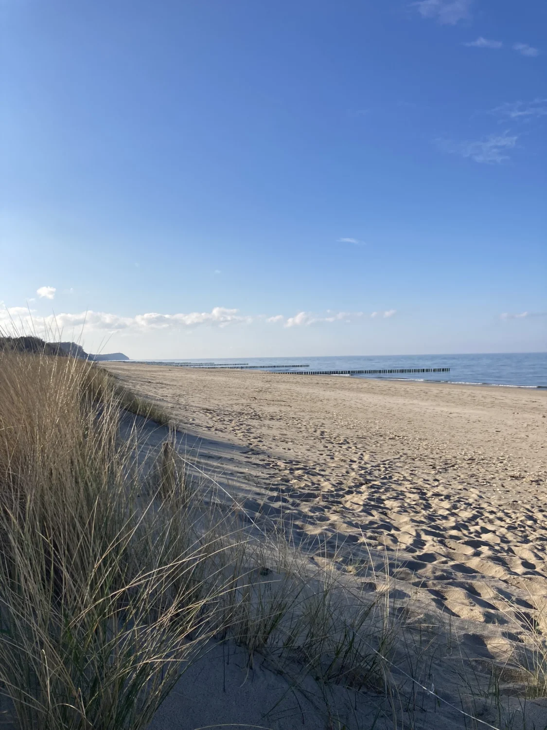 Pension Richter Ferienhaus Frauen im Wald