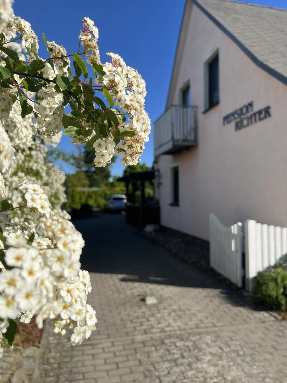 Pension Richter Ferienhaus Frauen im Wald